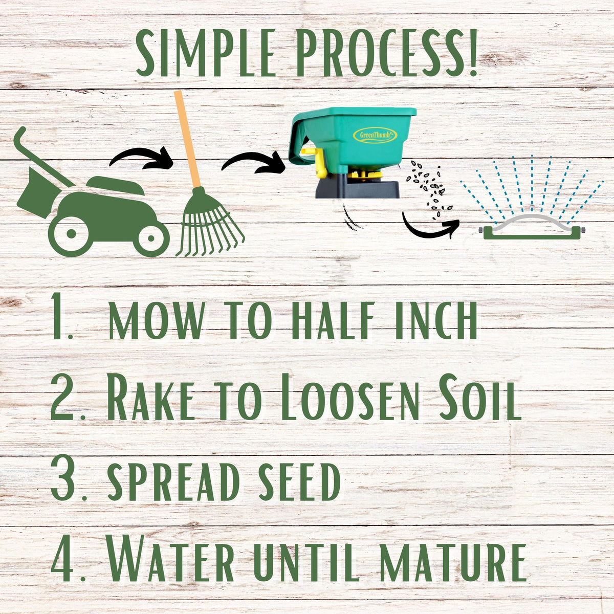 Simple Lawn Fine Fescue Grass Seed – photo 6