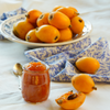 Loquat 'Italy' (Eriobotrya japonica)