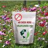 No Deer Here Wildflower Seed Mix – Deer-Resistant