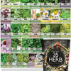 Popular Herb Seeds for Planting | 35 Variety Pack