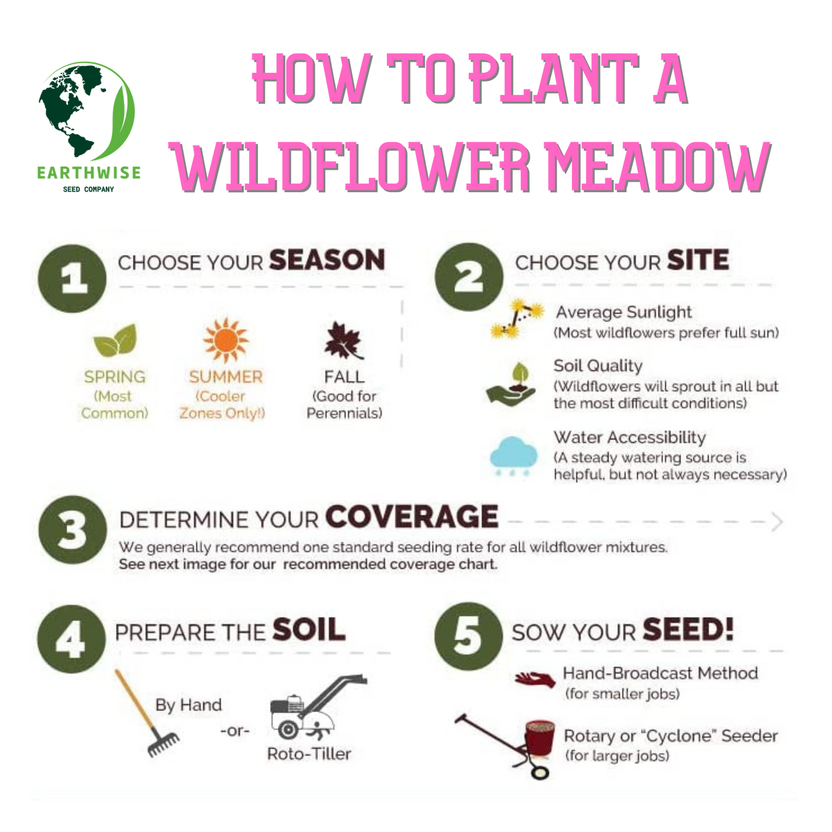 Knee High Wildflower Meadow Blend – photo 6