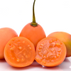 Tree Tomato, Orange (Cyphomandra betaceae)