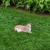 PetLawn Dog-Friendly Lawn Mix – Durable, Pet-Safe Grass & Clover Blend – photo 3