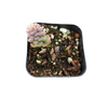 Sedum versadense Korean Succulent