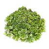 Sedum takesimense