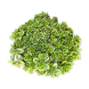 Sedum takesimense