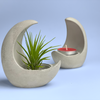 YOUNG MOON AIR PLANT HOLDER