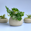 Mini Succulent Planter | Air Plant Holder