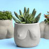 Boobs Planter | Woman Body Pot