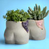 Rose Quartz Butt Planter