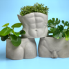 Male Body Planter Pot | Butt
