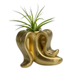 Banana Air Plant Holder