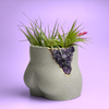Amethyst Butt Planter