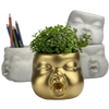 Baby Face Succulent Planter