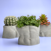 Male Body Planter Pot | TORSO