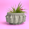 Multi Face Succulent Planter