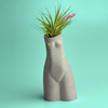 SET OF 3 AIR PLANT HOLDERS, Female Body Vase