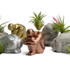 MALE BODY AIR PLANT HOLDER