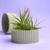 Scandinavian Air Plant Holder | Succulent Planter