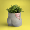 Rose Quartz Butt Planter