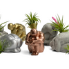 MALE BODY AIR PLANT HOLDER