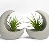 YOUNG MOON AIR PLANT HOLDER