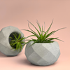 Geometric Air Plant Holder