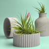 Scandinavian Air Plant Holder | Succulent Planter