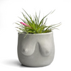 Boobs Planter | Woman Body Pot