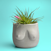 Boobs Planter | Woman Body Pot