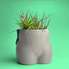 Amethyst Butt Planter