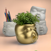 Baby Face Succulent Planter