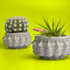 Multi Face Succulent Planter