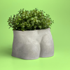 Male Body Planter Pot | Butt