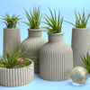 SKINNY MINI VASE | AIR PLANT HOLDER