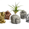 MALE BODY AIR PLANT HOLDER