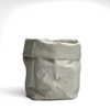Paper Bag Succulent Planter Pot