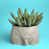 Male Body Planter Pot | Butt