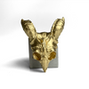 ANIMAL SKULL