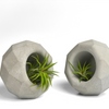 Geometric Air Plant Holder
