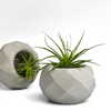Geometric Air Plant Holder