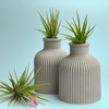SKINNY MINI VASE | AIR PLANT HOLDER