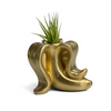 Banana Air Plant Holder