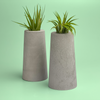 SKINNY MINI VASE | AIR PLANT HOLDER