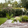 Webbing Planters