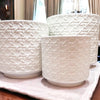 Webbing Planters