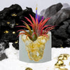 Raw CITRINE GEODE PLANTER
