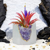 Brazil AMETHYST GEODE PLANTER