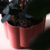 Pillar Planter