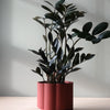 Pillar Planter